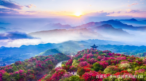 花樣貴州六日游-百里杜鵑-黃果樹-小七孔-西江千戶苗寨-梵凈山